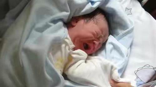 张杰吃瓜爆料视频在线观看,揭秘娱乐圈幕后真相 第1张 张杰吃瓜爆料视频在线观看,揭秘娱乐圈幕后真相 第1张